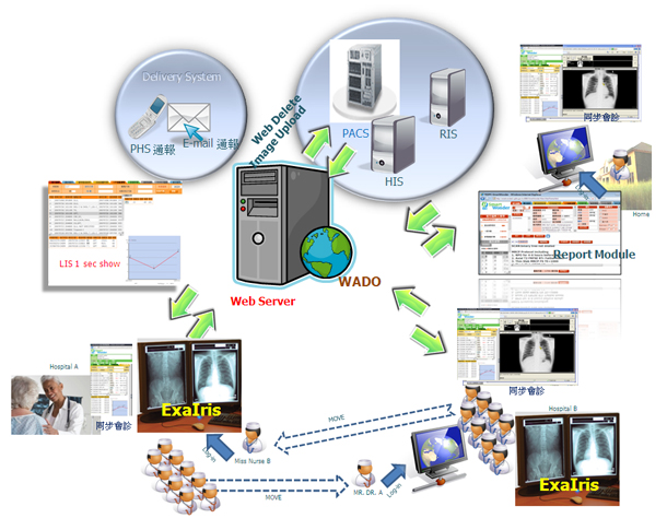 ExaWonder workflow
